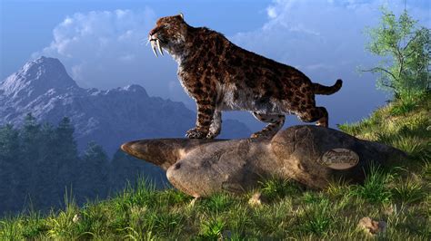 Smilodon fatalis