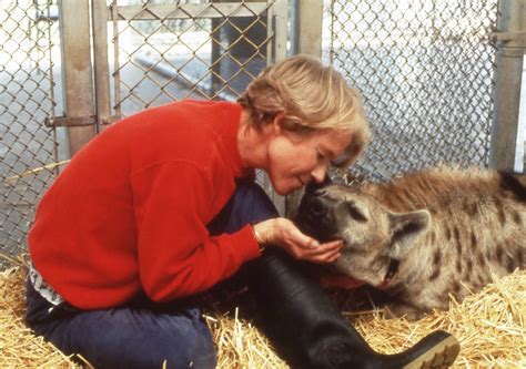 Glickman-Krista hyena love | Vicki Constantine Croke