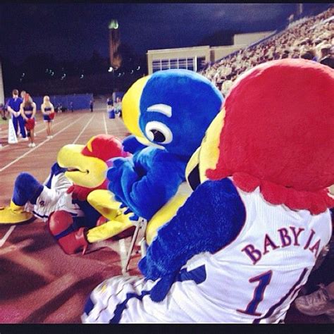 Big Jay, Baby Jay, and C. Jay at Traditions Night 2012! | Rock chalk ...