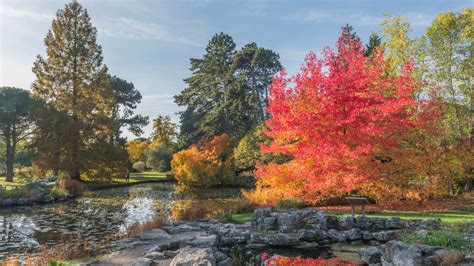 What's on this Autumn 2022 - Cambridge University Botanic Garden