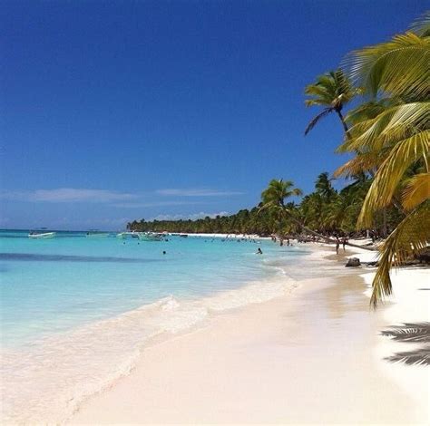 Saona island | Saona island, Beach, Outdoor