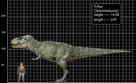 JP1 T-Rex: The quest to find Rexy's real size : r/JurassicPark