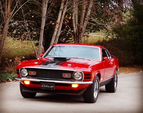 Used 1970 Ford Mustang - MACH 1 - 428 SUPER COBRA JET - For Sale (Sold ...