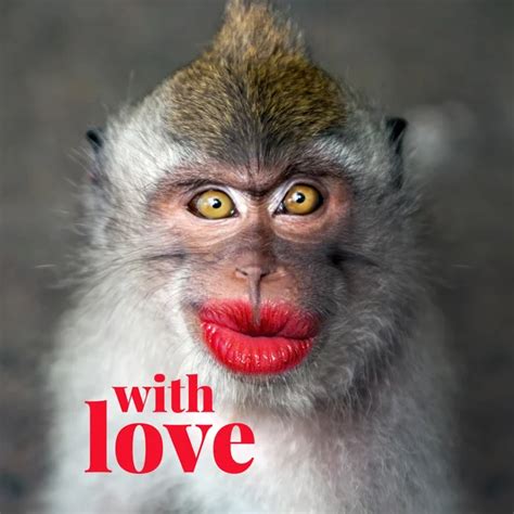 Funny monkey with a red lips — Stock Photo © watman #70253417