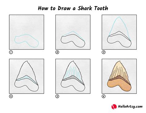 How to Draw a Shark Tooth - HelloArtsy