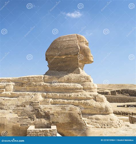 Sphinx Egypt Portrait. Portrait of Great Sphinx of Egypt Close. Egypt ...