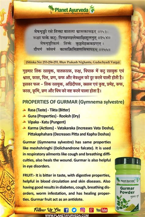 Planet Ayurveda Gurmar Powder - Usage, Dosage and Benefits - store ...