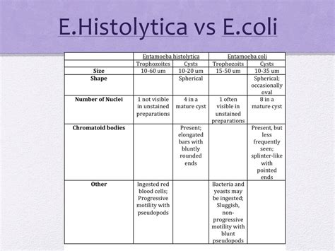 Entamoeba Coli Vs Entamoeba Histolytica | sexiezpix Web Porn