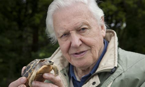 David Attenborough's Planet Earth 2 to reveal urban wildlife secrets ...