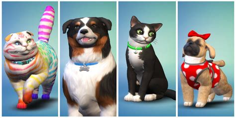 Sims 4 Cats & Dogs: Best Mods For The Game