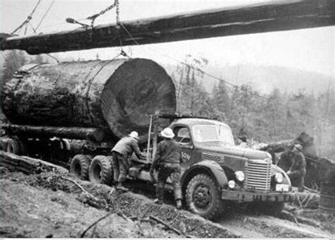 Cider and Sawdust: Photo | Old photos, Old trucks, Logging industry