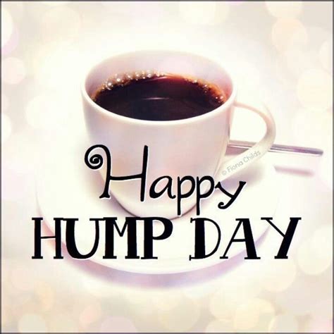 Happy Hump Day Pictures, Photos, and Images for Facebook, Tumblr ...