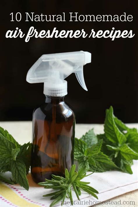 10 Best Homemade Air Freshener Recipes - Garden