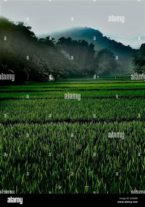 Wonderful indonesia. Padalarang. West java #wdzg Stock Photo - Alamy