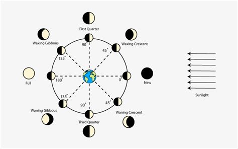 Phases Of The Moon Diagram - Moon Phases With Degrees Transparent PNG ...