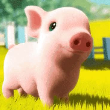 Cute Pig GIFs | Tenor