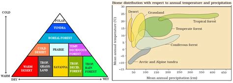 Biomes or Terrestrial Ecosystems | PMF IAS