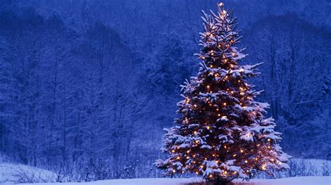 Christmas Tree Wallpaper 1920x1080