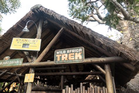 Disney's Wild Africa Trek Review - Thyme & Love