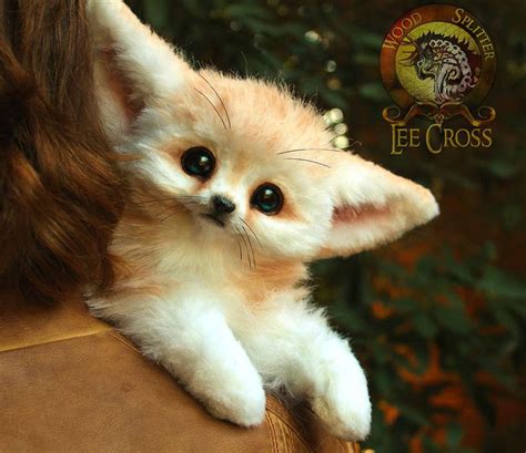 Sold, Poseable Baby Fennec Fox! by Wood-Splitter-Lee on DeviantArt