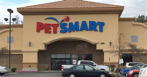 PetSmart Under Fire After Multiple Dog Deaths During Grooming Visits