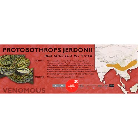 Red-Spotted Pit Viper (Protobothrops jerdonii) Standard Vivarium Label ...