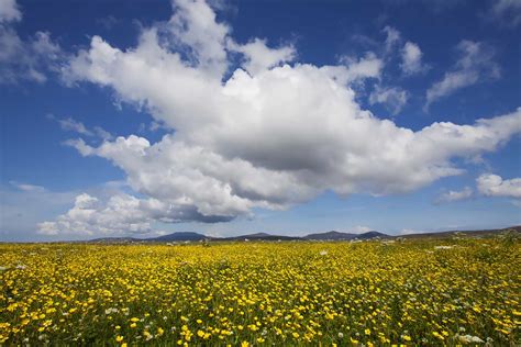 Summer Landscapes: What and When to Photograph | Nature TTL