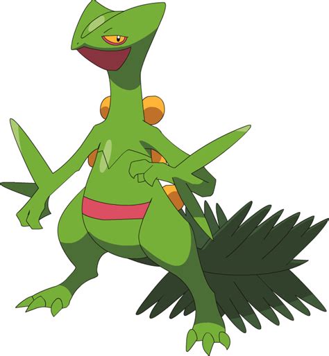 Sceptile | Pokémon Wiki | FANDOM powered by Wikia | Pokemon, Pokemon ...