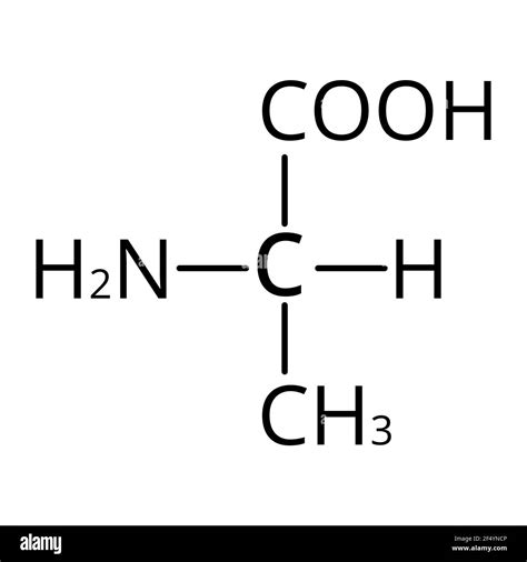 Alanine is an amino acid. Chemical molecular formula Alanine amino acid ...