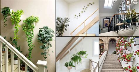 24 Inspiring Staircase Wall Decor Ideas With Plants