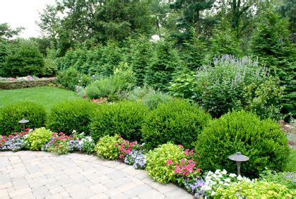 Garden Shrubs Design - Okejely Garden Plant