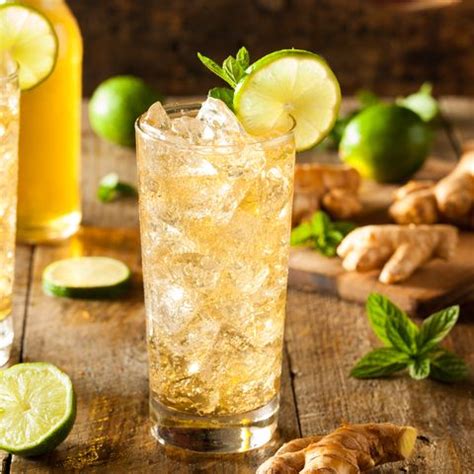 9 Ginger Ale Cocktails to Make - These Drink Recipes Are So Easy