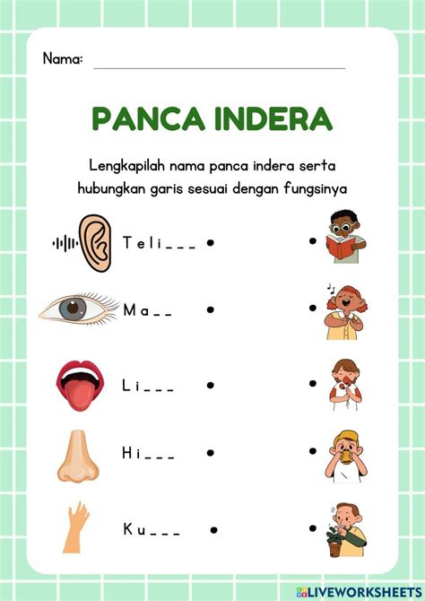 Lkpd Panca Indera Manusia Worksheet Live Worksheets - Riset