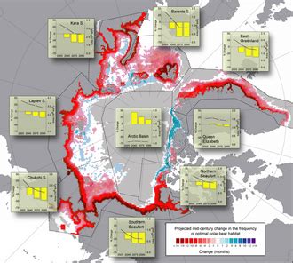 Polar bear conservation - Wikipedia