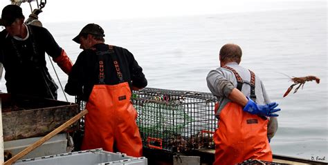 Capture America Journal: Maine: Eastport Lobster fishing