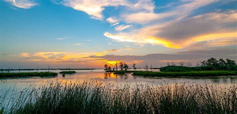 Mississippi River Delta | National Wildlife Federation