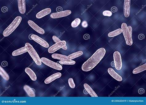 Bacteria Citrobacter, Gram-negative Coliform Bacteria In The Family ...