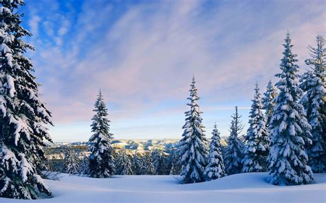 nature, Landscape, Snow, Trees, Forest Wallpapers HD / Desktop and ...