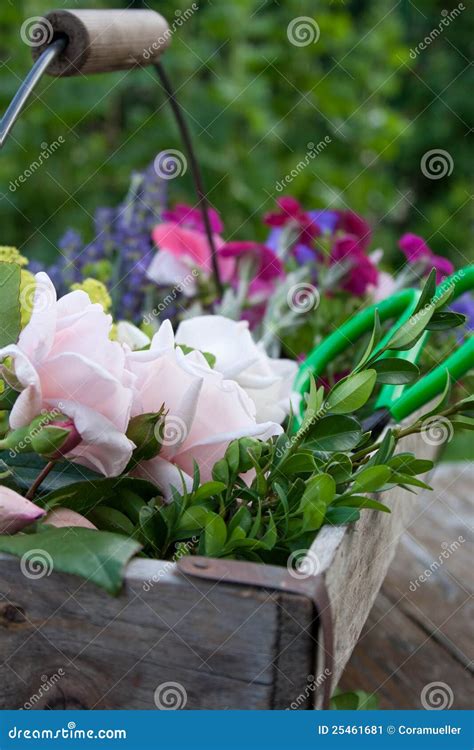 Flower basket stock image. Image of pick, roses, summer - 25461681