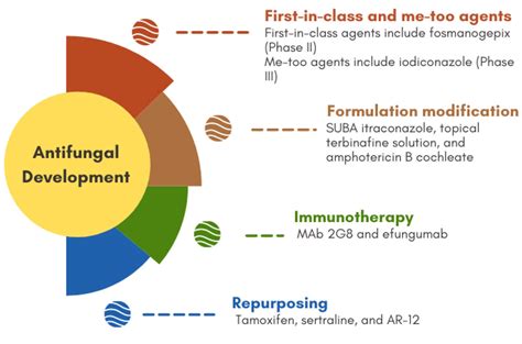 Advances in Antifungal Drug Development: An Up-To-Date Mini Review