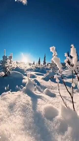 Sunrise in Alaska : r/NatureIsFuckingCute