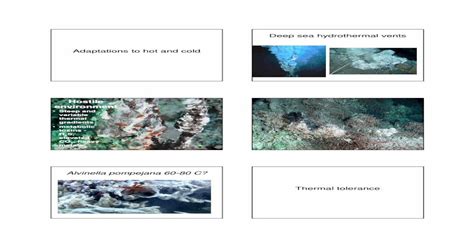 (PDF) Deep sea hydrothermal vents Adaptations to hot and coldrlee/ocean ...