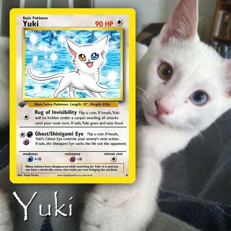 Artist Illustrates Pets Into Pokemon Cards And They Look Absolutely ...