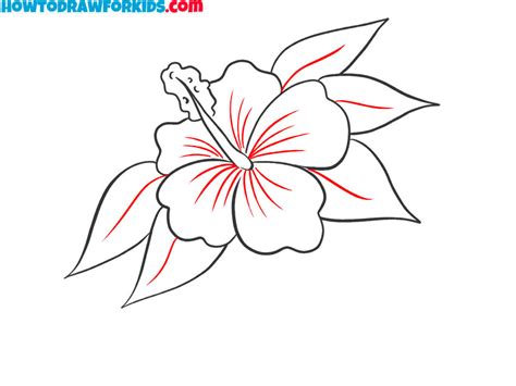 How to Draw a Hibiscus - Easy Drawing Tutorial For Kids