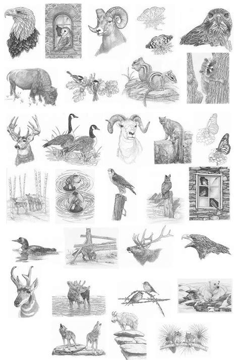 Free Printable Wildlife Wood Burning Patterns - Printable Templates Free