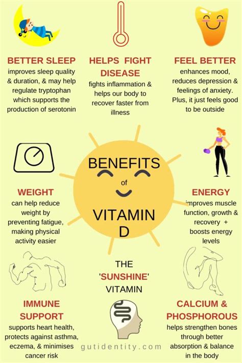 Vitamin D for Immune System Support - Gutidentity