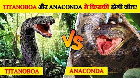 क्या होगा जब Titanoboa और Anaconda आपस में भिड़ेंगे | Titanoboa vs ...