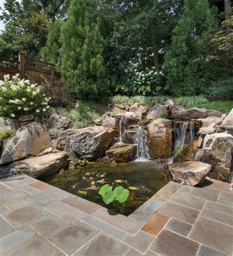 The Essentials of Koi Pond Design & Maintenance in Northern Virginia