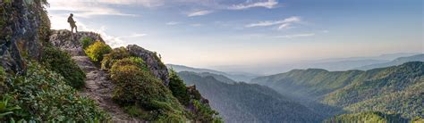 Are Dogs Allowed In The Great Smoky Mountains National Park