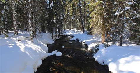 Oregon snow: Weekend snowfall in mountains shows eye-popping totals